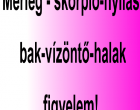 Mérleg - skorpió-nyilas -bak-vízöntő-halak figyelem