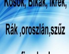 Kosok, Bikák, Ikrek,Rák ,oroszlán,szűz figyelem! Mai horoszkóp (VASÁRNAP)