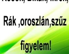 Kosok, Bikák, Ikrek,Rák ,oroszlán,szűz figyelem! Mai horoszkóp (HÉTFŐ)