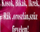 Kosok, Bikák, Ikrek,Rák ,oroszlán,szűz figyelem!