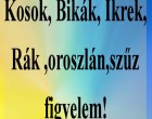 Kosok, Bikák, Ikrek,Rák ,oroszlán,szűz figyelem!