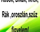 Kosok, Bikák, Ikrek,Rák ,oroszlán,szűz figyelem! Holnapi horoszkóp