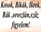 Kosok, Bikák, Ikrek,Rák ,oroszlán,szűz figyelem! Mai horoszkóp