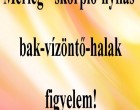 Mérleg - skorpió-nyilas -bak-vízöntő-halak figyelem!Mai horoszkóp