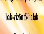 Mérleg - skorpió-nyilas -bak-vízöntő-halak figyelem!Mai horoszkóp (KEDD)