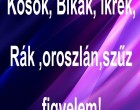 Kosok, Bikák, Ikrek,Rák ,oroszlán,szűz figyelem!Mai horoszkóp -július 15 - HÉTFŐ