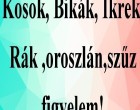 Kosok, Bikák, Ikrek,Rák ,oroszlán,szűz figyelem! Mai horoszkóp (VASÁRNAP)