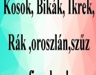 Kos - Bika - Ikrek-Rák-Oroszlán-Szűz-Mé rleg-Skorpió-Nyilas-Bak - Vízöntő - Halak figyelem! Mai horoszkóp -HÉTFŐ