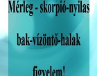 Mérleg - skorpió-nyilas -bak-vízöntő-halak figyelem!Mai horoszkóp (KEDD)