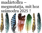 Bökj a legszebb madártollra – megmutatja, mit hoz számodra 2025!