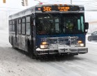 Buszsofőr kiveti az idős hölgyet a fagyba – később meglátja a képeit menyasszonya házában„Szállj le!” – kiáltotta Gyuri türelmetlenül az idős asszonyra, aki kétségbeesetten kutatott a táskájában az apróért. A buszvezető már késésben volt, és úgy érezte, nincs ideje a történeteire.Az idős nő, Rózsika néni könnyes szemekkel próbált magyarázkodni:– Kérem, fiam, elvesztettem a pénztárcámat, nincs más mód hazajutni...De Gyuri hajthatatlan maradt.– Nem érdekel! Fizet, vagy gyalogolhat haza! – kiáltotta, miközben a hóesésben kitette a nőt a megállónál.Gyuri úgy gondolta, soha többé nem fog találkozni vele, és ezzel lezártnak tekintette az ügyet. De amikor később belépett menyasszonya, Angéla házába, és meglátta az idős asszony fényképét a nappaliban, azonnal rádöbbent, hogy a sors kegyetlen játékot játszott vele.A történet fordulatainál csak egy valami döbbenetesebb: a tanulság, amely örökre megváltoztatta Gyuri életét.😳👇😳⬇️A teljes történet a kommentek között található.