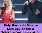 Vincze Lilla és Pély Barna 'Nélküled' előadása könnyeket csalt mindenki szemébe